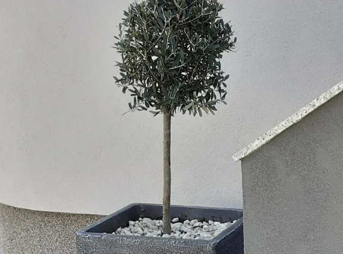 Апартаменты Noah Задар