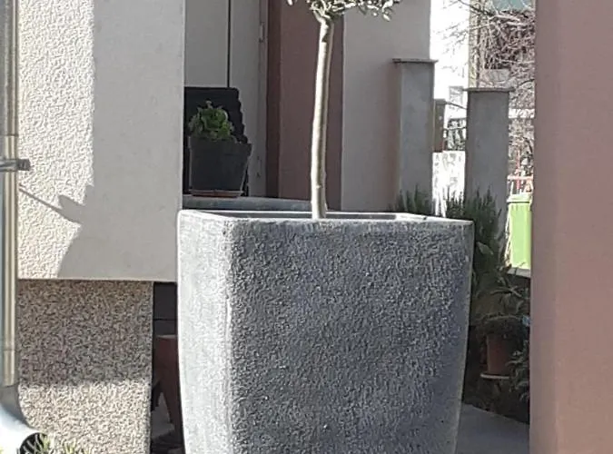 Апартаменты Noah *