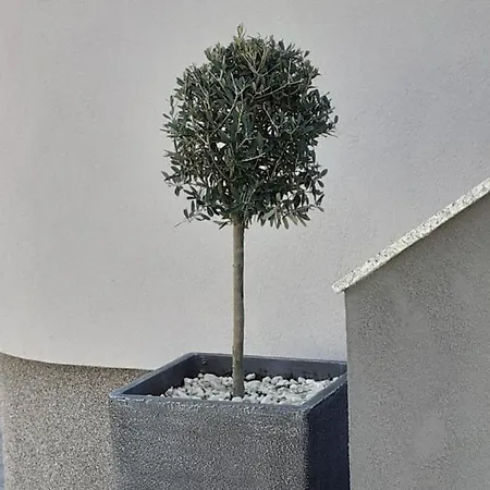 Апартаменти Noah Задар