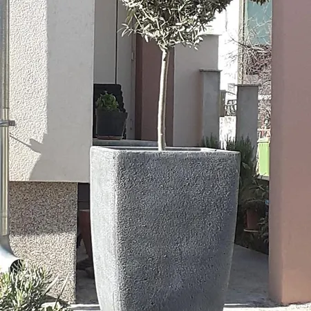 Апартаменти Noah *